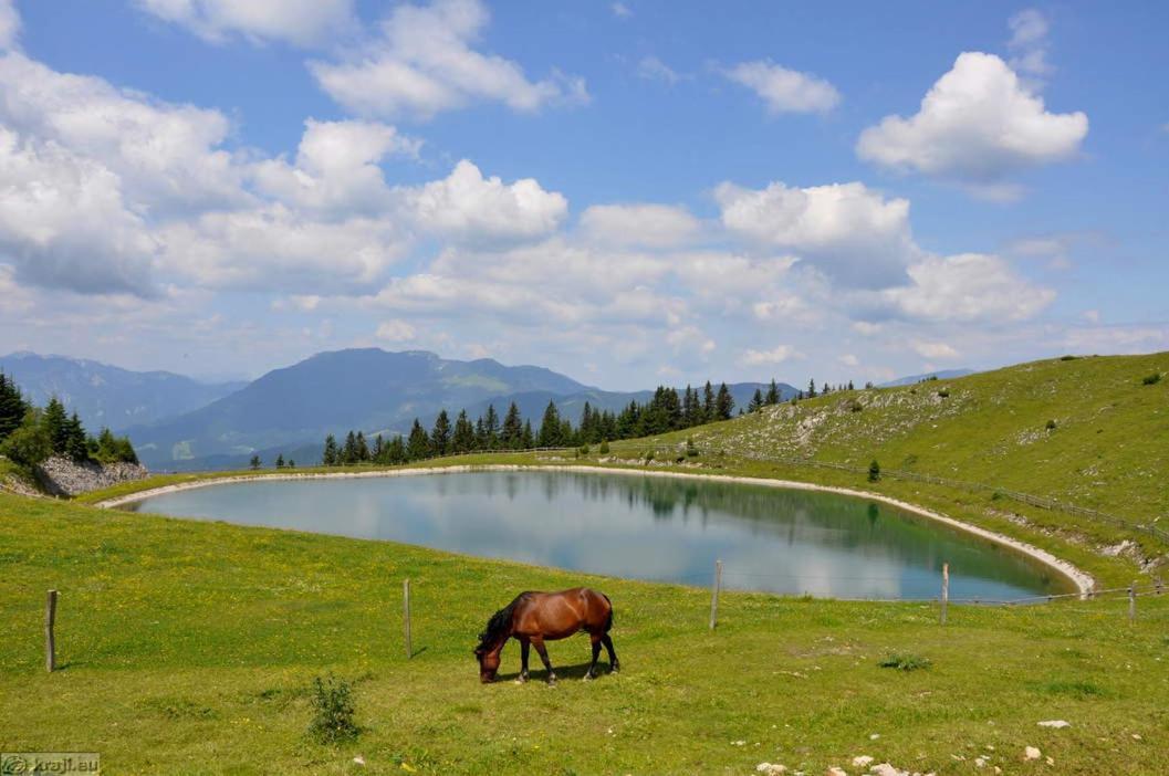 Entire Loft Close To Beautiful Logar Valley Recica ob Savinji 외부 사진